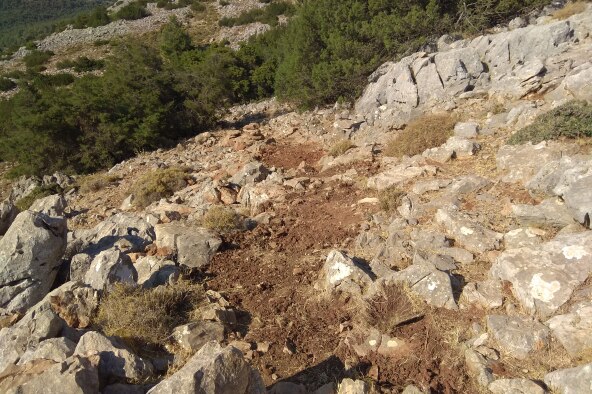 img_20210724_091925_1