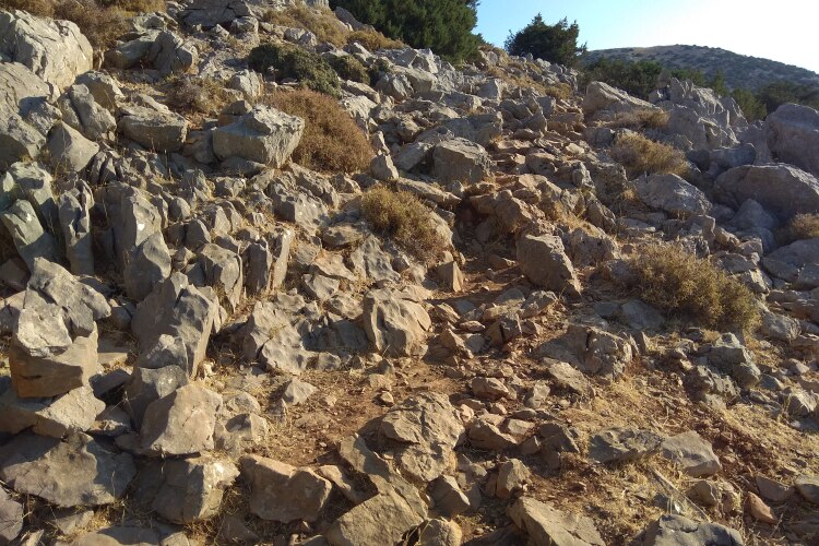 img_20210724_083112_1